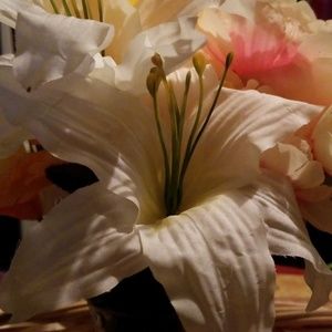 Meet your Posher, Diana